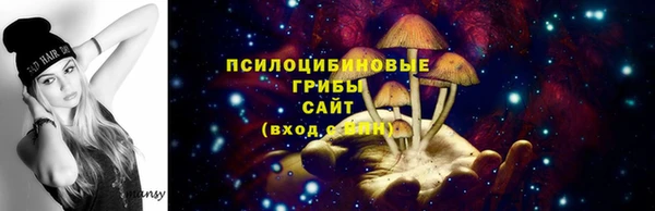 твердый Гусь-Хрустальный