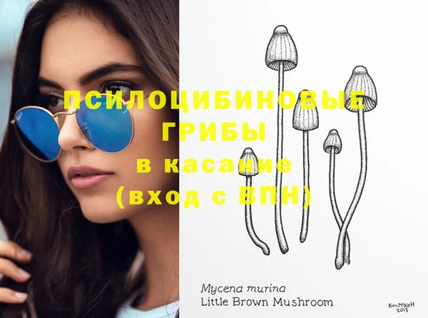 твердый Гусь-Хрустальный
