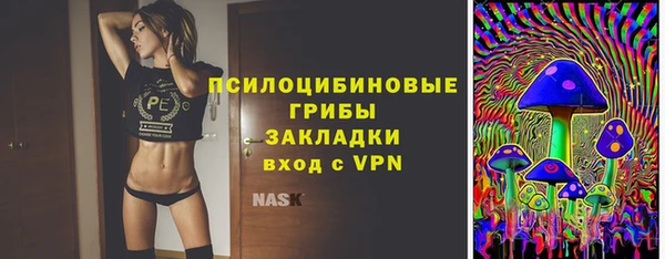 твердый Гусь-Хрустальный