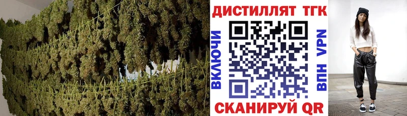 Купить  Макарьев  Дистиллят ТГК жижа 