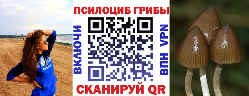 Галлюциногенные грибы мухоморы  Купить закладки  Макарьев 